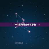 1987属兔适合什么事业，1987年属兔的人要做什么事业才能发展