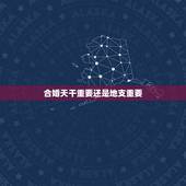 合婚天干重要还是地支重要，八字合婚年月日时都合好吗