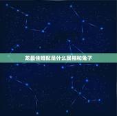 龙最佳婚配是什么属相和兔子，93年属鸡的和什么属相最配