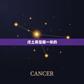 戊土男是哪一年的，戊土男和什么女最合适