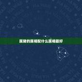 属猪的属相配什么属相最好，属猪的和哪些属相相配