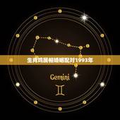生肖鸡属相婚姻配对1993年，查黄历1993年属鸡与什么属相相配