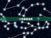 14年属猪运势，2022 年属猪运程
