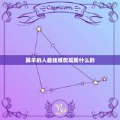 属羊的人最佳婚配是属什么的，如果生肖属羊者，那婚配生肖是什么最合适？