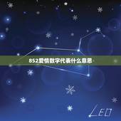852爱情数字代表什么意思，数字含义大全祝福的
