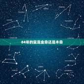 84年的鼠是金命还是木命，1984年属鼠的是什么木