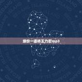 缘份一道桥王力宏mp3，求李芷婷王力宏的缘分一道桥mp3高音质下载