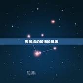 男属虎的属相婚配表，生肖配对：属虎的和什么属相最配