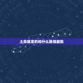 土命属龙的和什么属相最配，88年属龙的和什么属相最配
