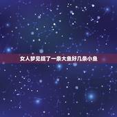 女人梦见捉了一条大鱼好几条小鱼，梦见捉到大鱼小鱼我梦见清澈的河边做到几