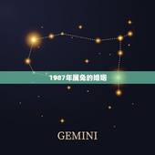 1987年属兔的婚姻，1987年属兔男婚姻不顺