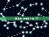 属兔2022年吉祥物，2022年犯太岁的生肖