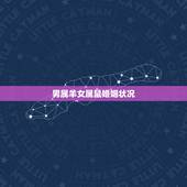 男属羊女属鼠婚姻状况，96年女和91年男姻缘相配