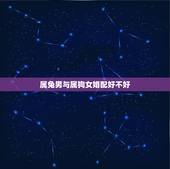 属兔男与属狗女婚配好不好，属狗为什么纠缠属兔的