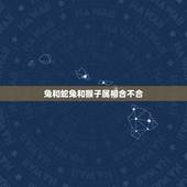 兔和蛇兔和猴子属相合不合，属兔的和属猴的能做朋友吗