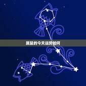属鼠的今天运势如何，属鼠的今年运气怎么样？