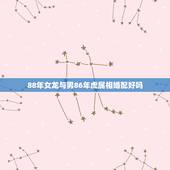 88年女龙与男86年虎属相婚配好吗，属虎男和属龙女相克吗