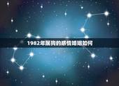 1982年属狗的感情婚姻如何，1982年属狗婚姻配对