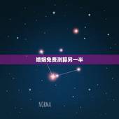 婚姻免费测算另一半，再婚之后去算命另一半的生辰八字报哪个？