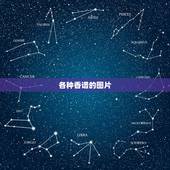 各种香谱的图片，观音香谱看一下是什么香？