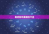 老虎和牛属相合不合，属相牛与虎是否相克