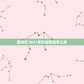 属虎在2021年的运程是怎么样，牛年属虎运势2021年运势