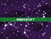 属兔的今年几岁了，属兔的今年多大了岁数表