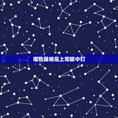 哪些属相是上司眼中钉，十二生肖中什么动物是眼中钉