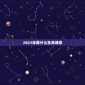2023年属什么生肖啥命，2023年适合生孩子的属相