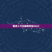 属虎人今日麻将财运2022，属虎人今日麻将运势如何