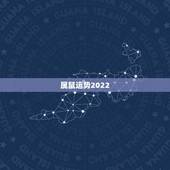 属鼠运势2022，1972年属鼠未来5年运势