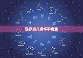 塔罗测几月怀孕免费，现在怀胎几个月可以检测出是男是女？