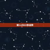 猪人2022年运势，2022年12生肖运势解析