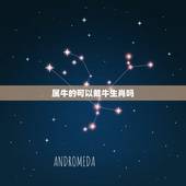 属牛的可以戴牛生肖吗，属牛的适合带什么生肖