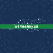 名字打分免费测试软件，免费姓名测试打分网