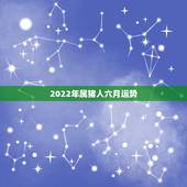 2022年属猪人六月运势，2016年属猪的人运势