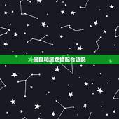 属鼠和属龙婚配合适吗，属鼠跟属龙相配吗