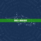 属猴人婚配宜忌，属猴人2022 年运势