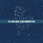 天上阳火和天上阴火婚配好不好，阳木和阴火合适吗
