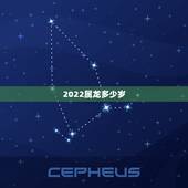 2022属龙多少岁，2022 年属龙的多大岁数