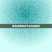 鼠和羊属相合不合会离婚吗，属鼠的和属羊的相克吗？在一起好吗？