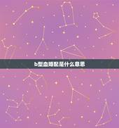 b型血婚配是什么意思，1982年生的射手座，B型血女生的速配对象是什么