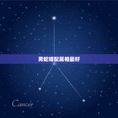 男蛇婚配属相最好，属蛇婚配表，蛇男跟什么属相最配