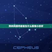 狗妈妈跟鸡爸爸生什么属相小孩好，妈妈属狗爸爸属鸡孩子属什么好
