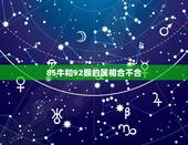 85牛和92猴的属相合不合，1985年属牛和1992年属猴的能好好过吗