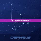 十二生肖婚配男狗女羊，属相婚配狗和羊相配吗？