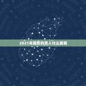 2021年属蛇的贵人什么属相，2021年最旺最顺的生肖