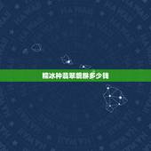 糯冰种翡翠貔貅多少钱，冰种正冰高冰区别