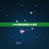 1999年属兔佩戴什么更好，1999属兔墙头土适合戴什么