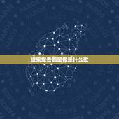 缘来缘去都是你是什么歌，什么歌里有缘来缘去都是放不下的你